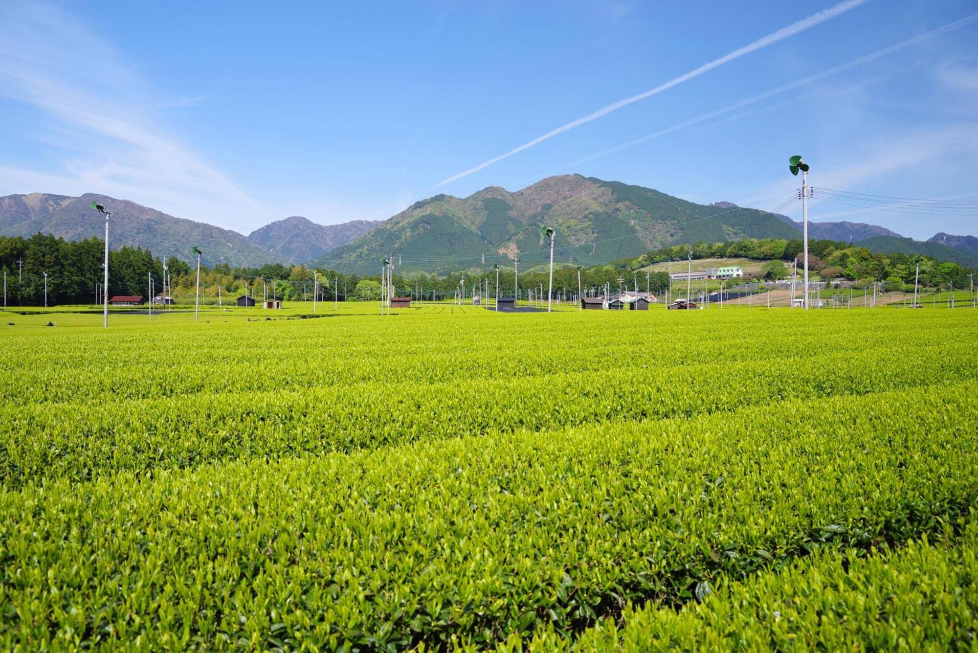 Hotel Tabist Miya Yokkaichi Suizawa Zewnętrze zdjęcie